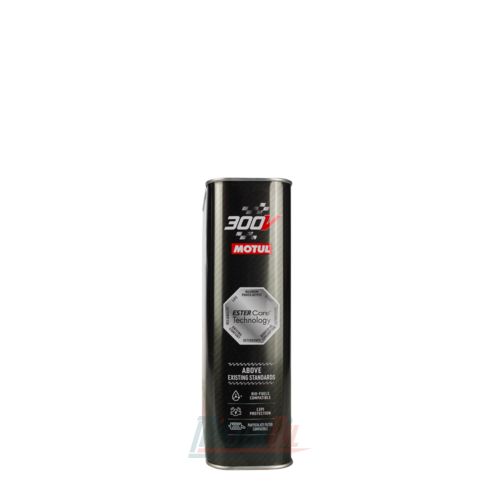 Motul 300V Le Mans - 2