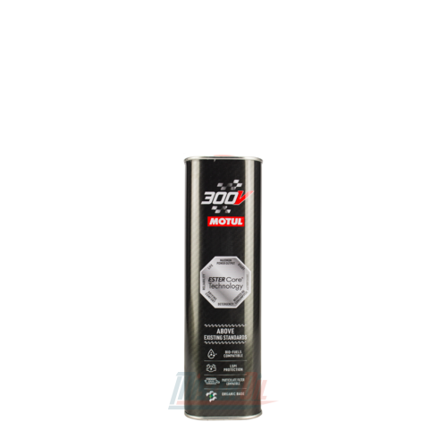 Motul 300V Le Mans - 4